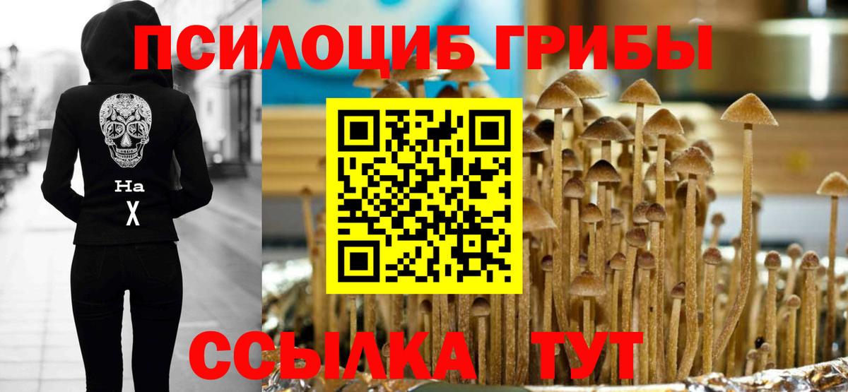Псилоцибиновые грибы мухоморы Новочебоксарск