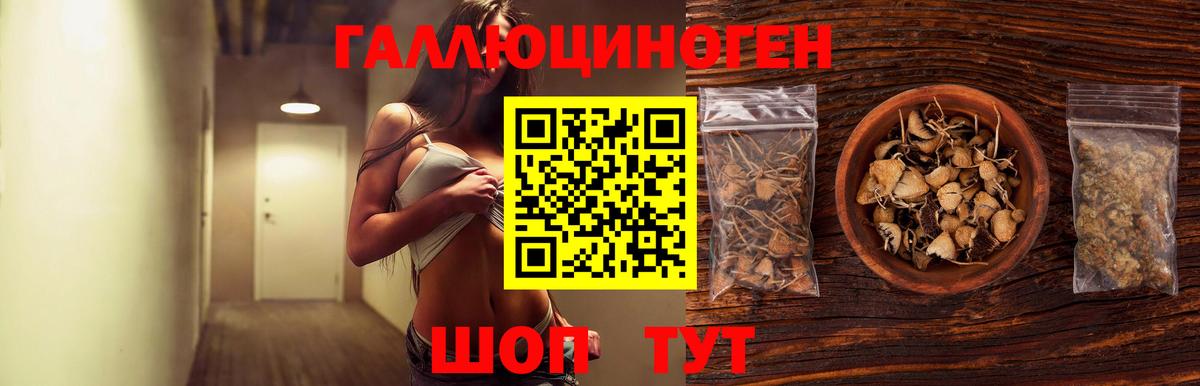 Галлюциногенные грибы ЛСД  как найти закладки  Новочебоксарск  Вход с VPN  Псилоцибиновые грибы мицелий 